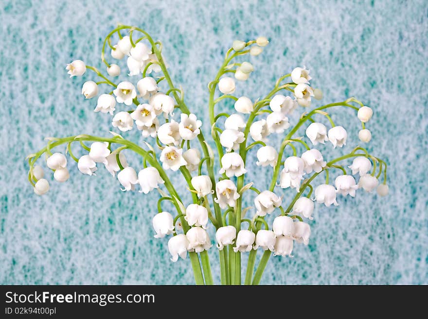 Lilly Of The Valley