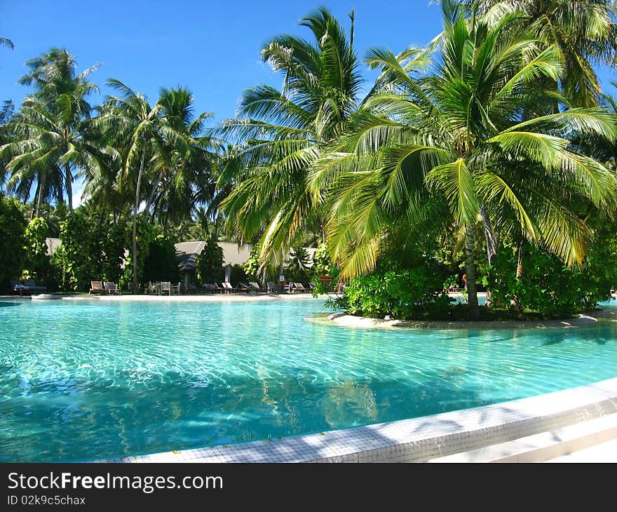 Swimming pool with palm trees