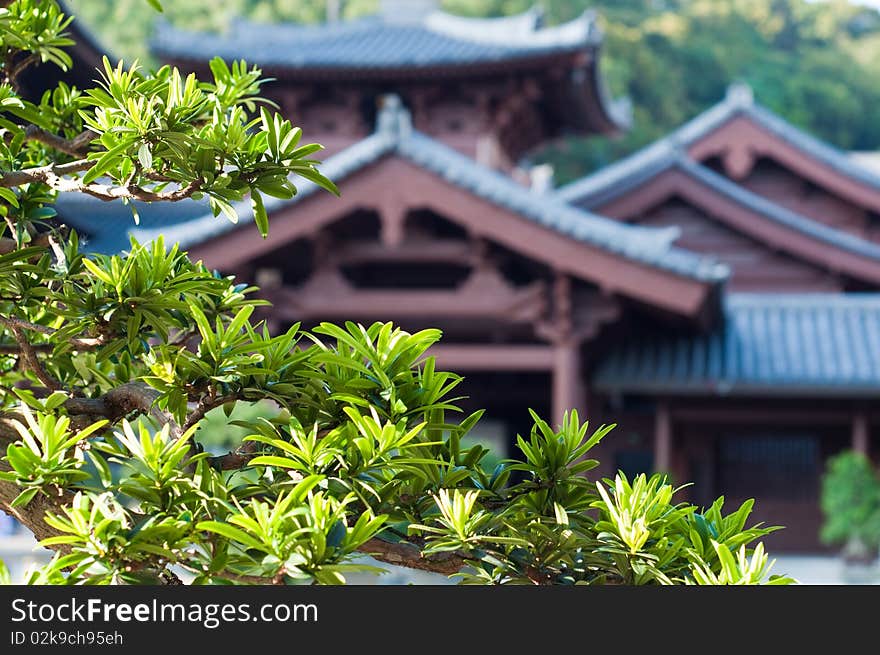 Chi Lin Nunnery in Hong Kong. The traditional architecture in the Tang Dynasty Style. Chi Lin Nunnery in Hong Kong. The traditional architecture in the Tang Dynasty Style.