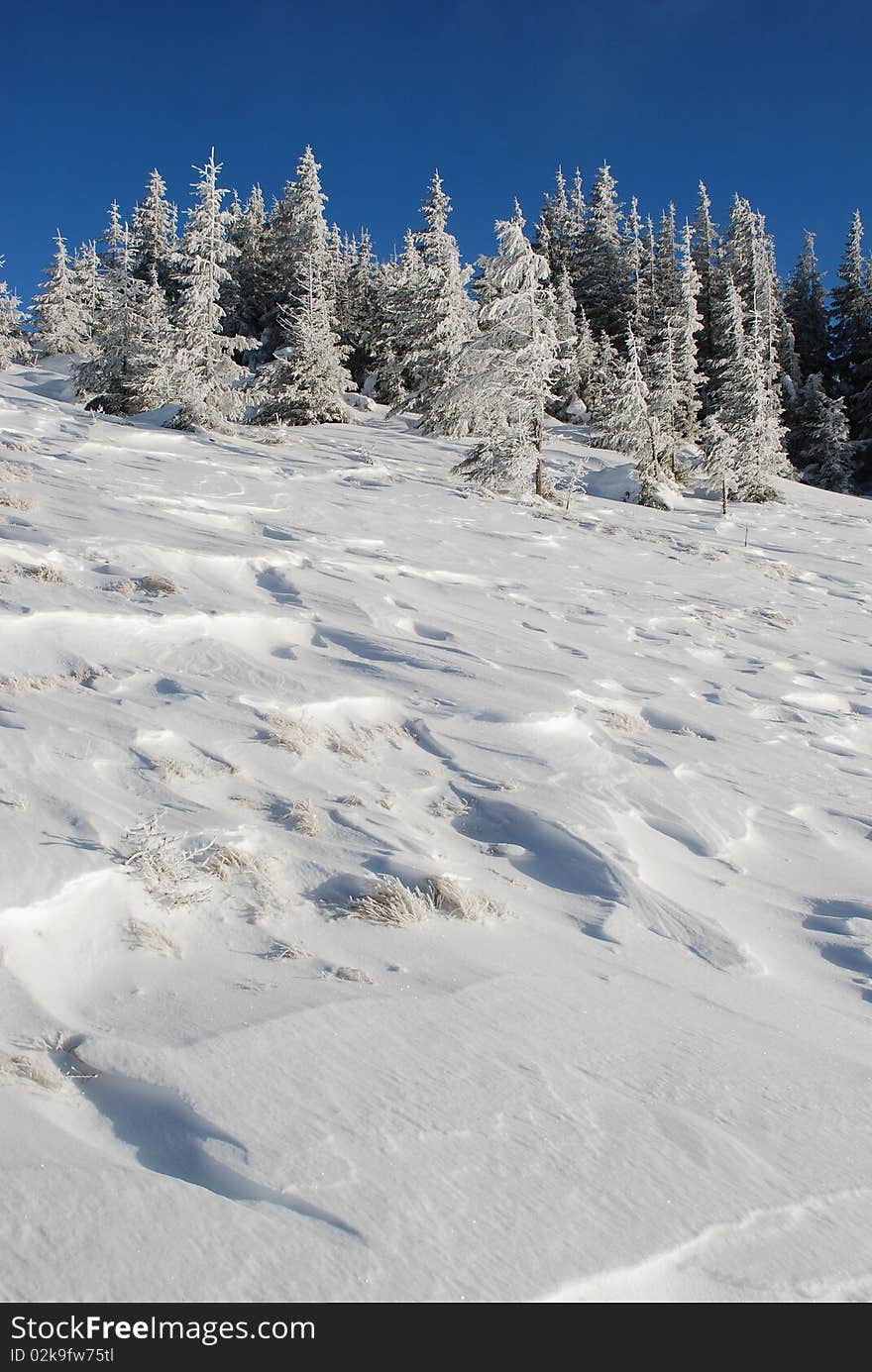 Winter snow hillside