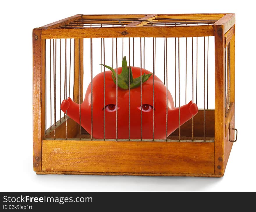 Tomato, prisoner in the cage made of wood with iron rods, isolated. Tomato, prisoner in the cage made of wood with iron rods, isolated