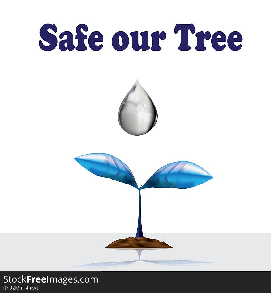 The water drop...whole picture describe to safe our trees in the world. The water drop...whole picture describe to safe our trees in the world