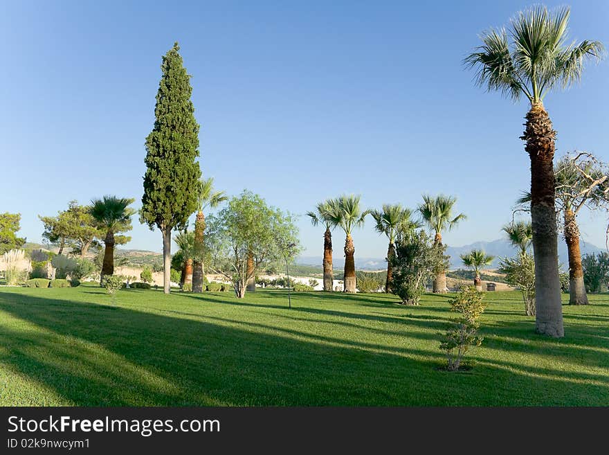 Ornamental garden