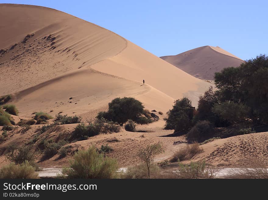 Hiking on the dunes