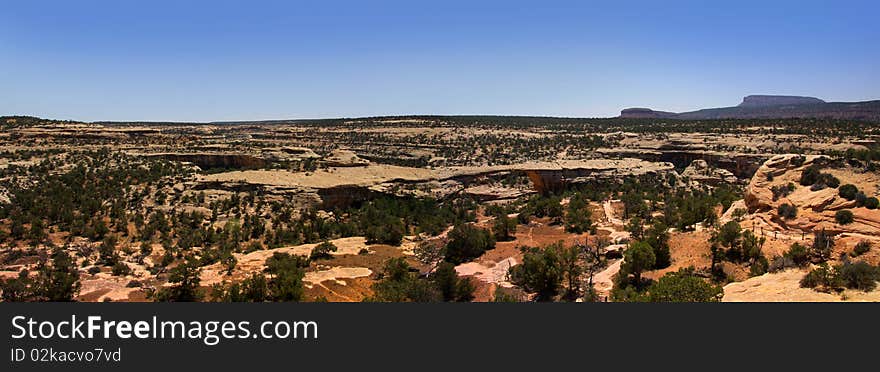 Formations in natural bridges national monument in Utah