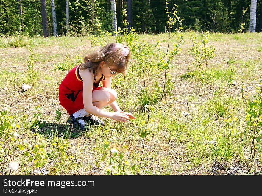 The young girl in red clothes on the nature catches in the spring the butterfly. The young girl in red clothes on the nature catches in the spring the butterfly