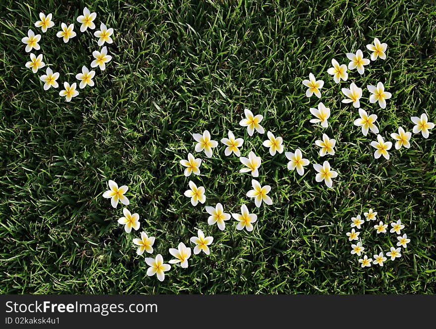 Flowers On A Grass Lay Out A Word Love!