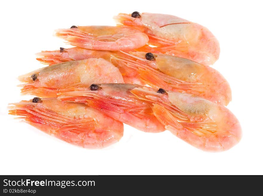 Shrimps