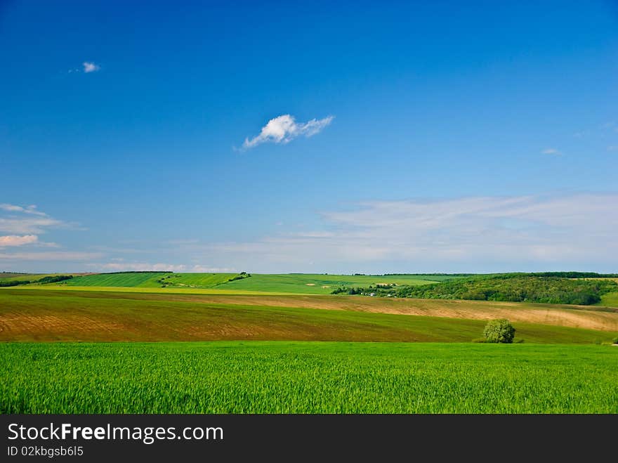 Nice sunny weather at spring countryside landscape