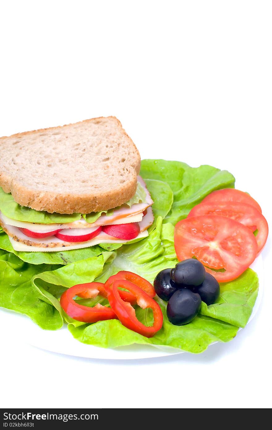 Big and tasty sandwich on a white plate