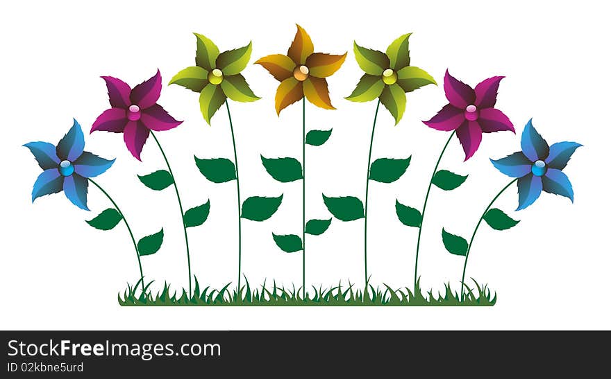 Bright wild flowers on a white background