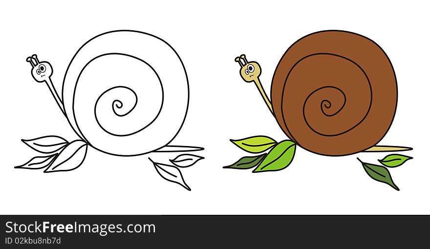 Cute Snail