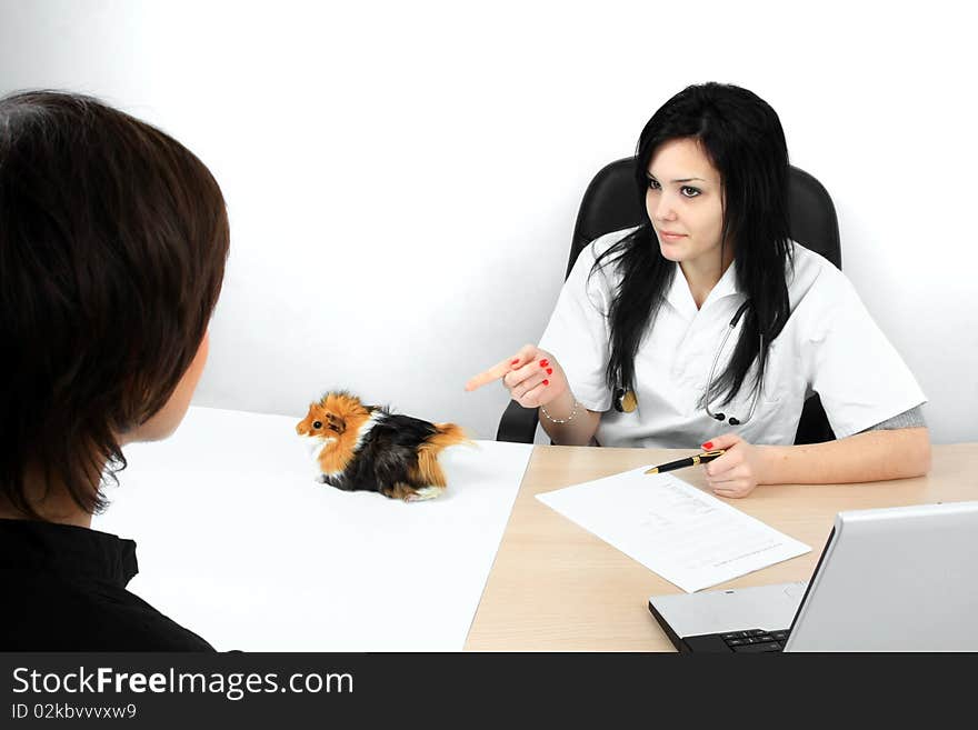 Veterinarian doctor pointing to the pet while sitting on her desk