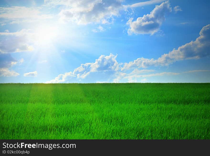 Fresh green grass with bright blue sky and sunburst background. Fresh green grass with bright blue sky and sunburst background