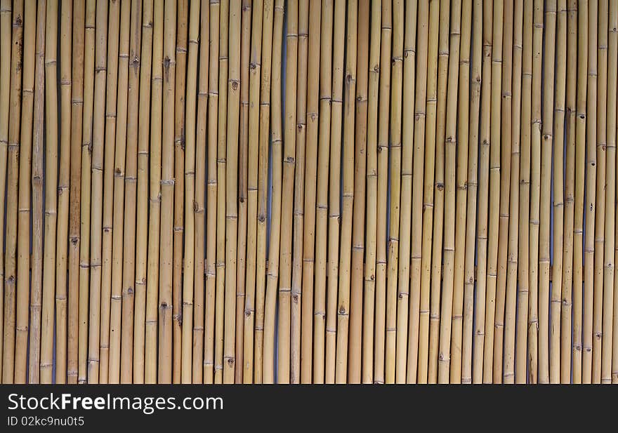 Bamboo fence as texture with parallel sticks. Bamboo fence as texture with parallel sticks