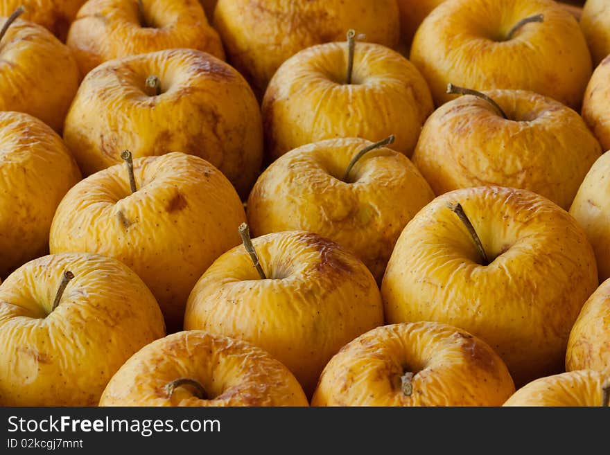 A rotting diseased yellow apples. A rotting diseased yellow apples