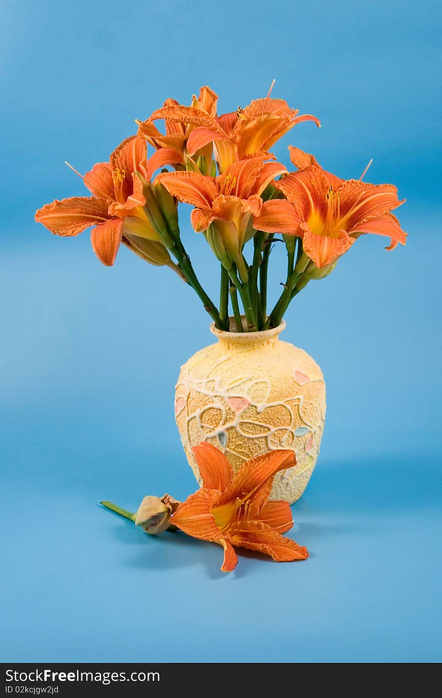 Bouquet of day-lily flowers on a blue background