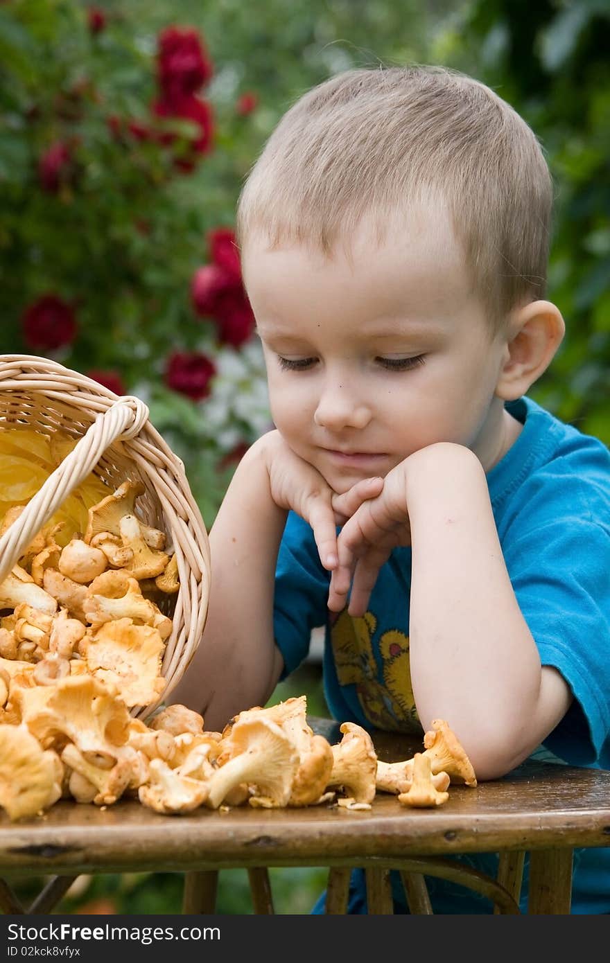 Boy with mushrooms outdoors in the summer