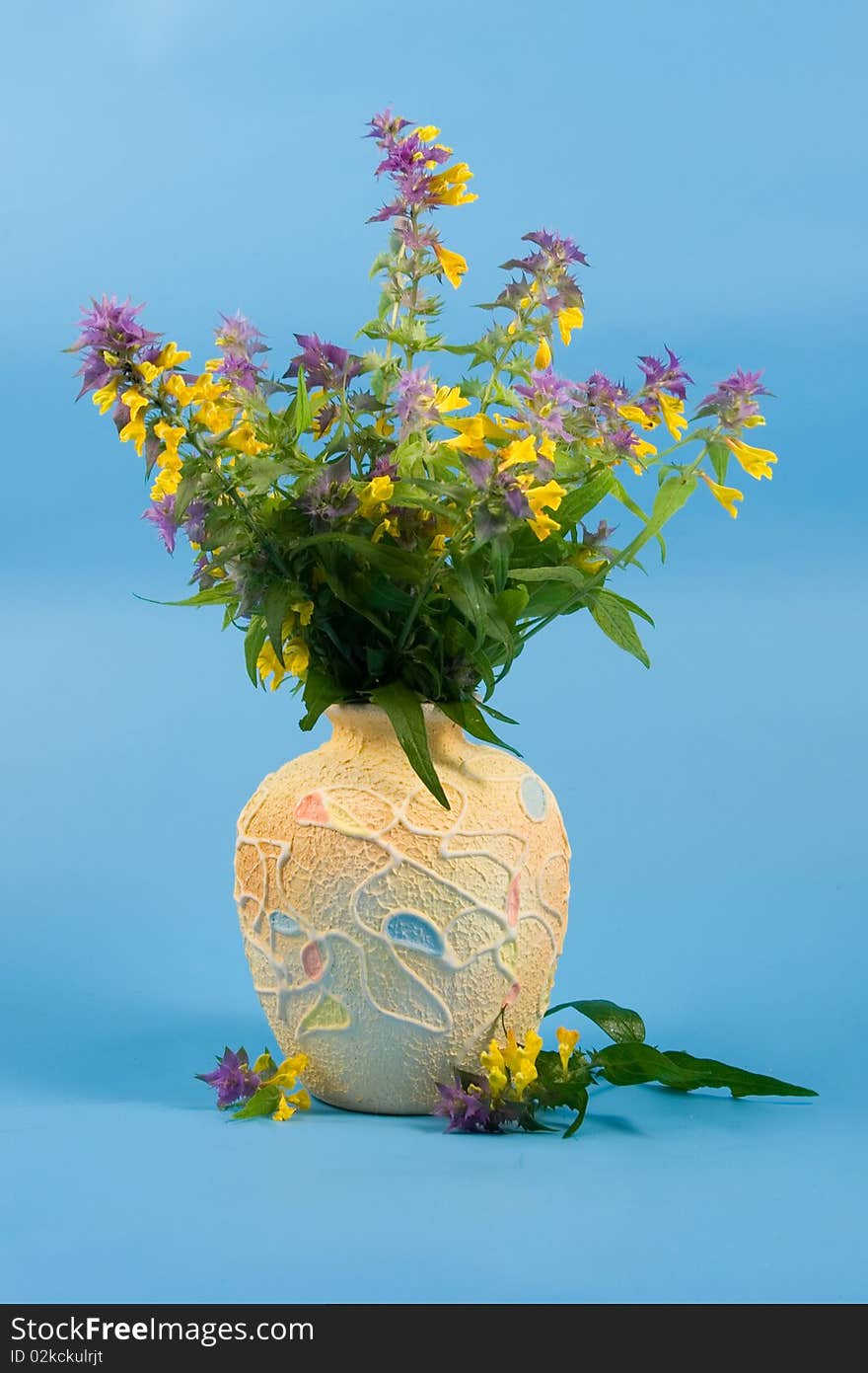 Beautiful bouquet of wild flowers on a blue background