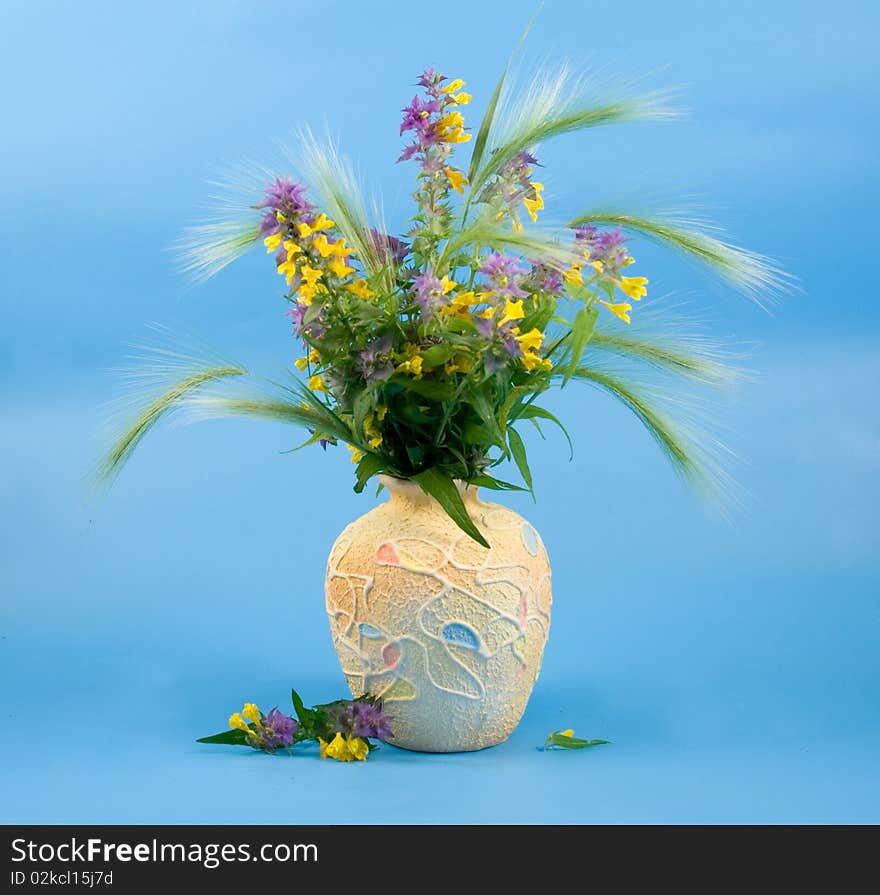 Beautiful bouquet of wild flowers on a blue background