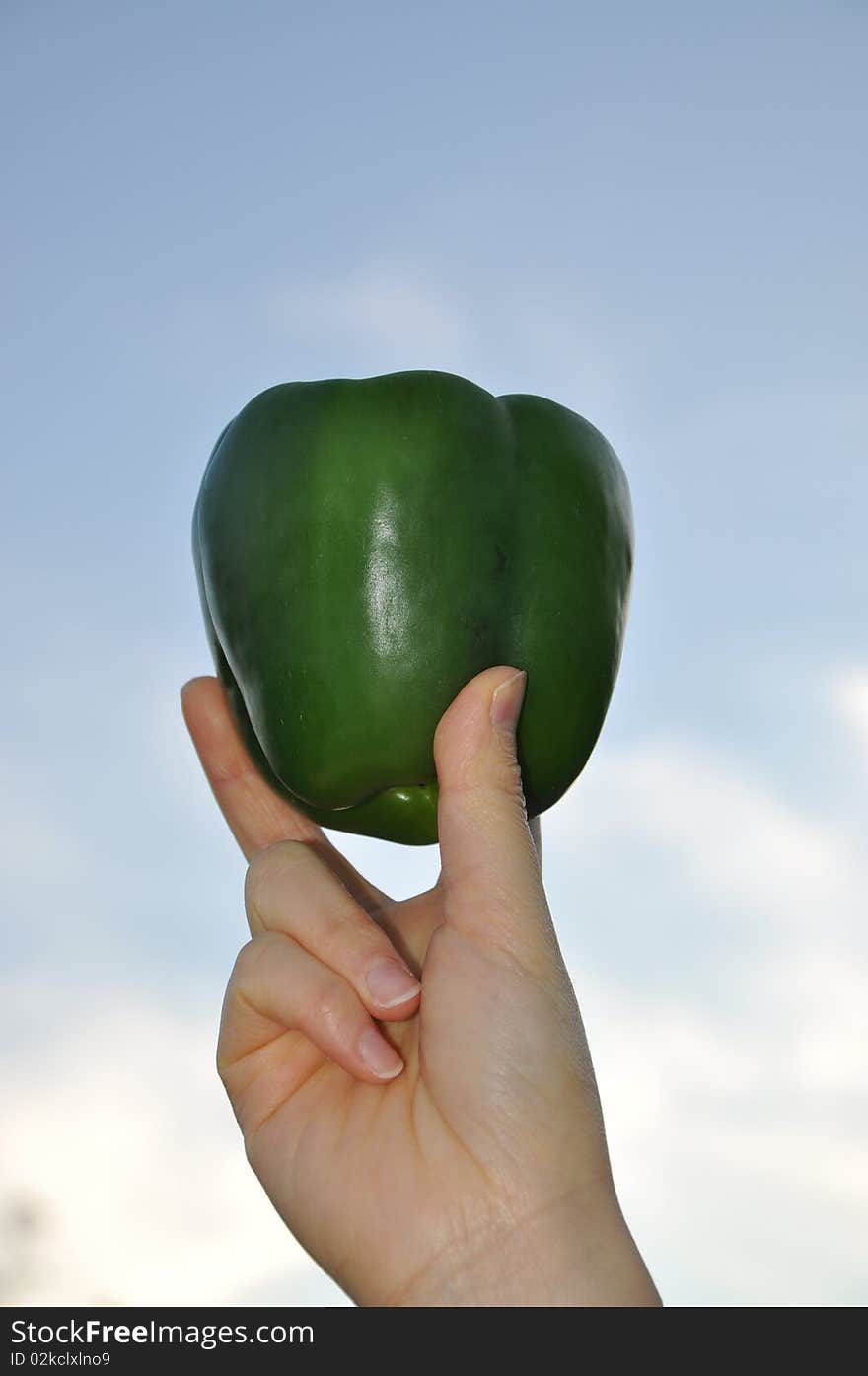 Person hold a green pepper with blue sky