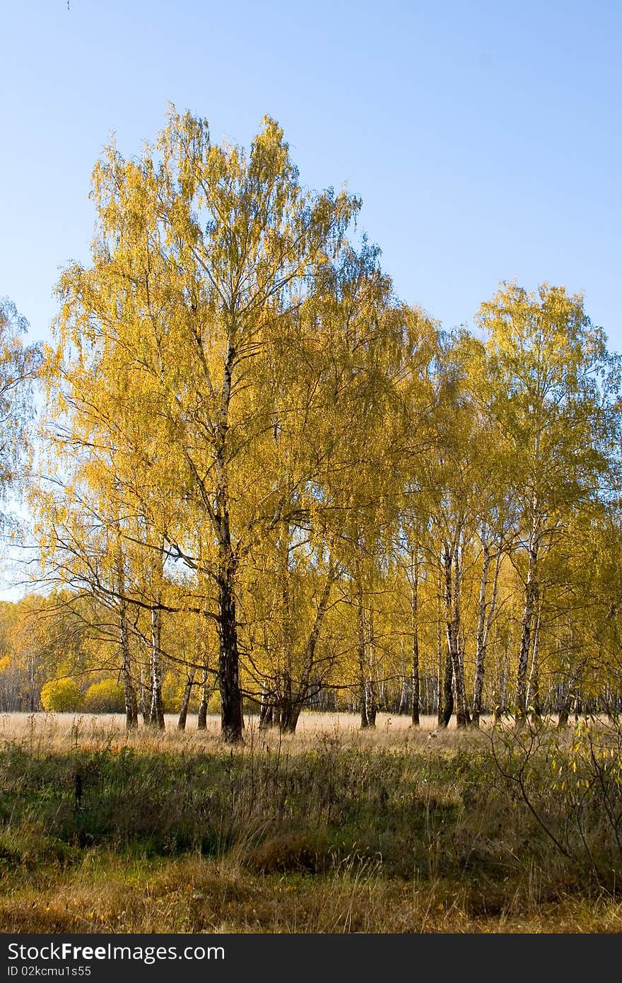 Beautiful autumn landscape