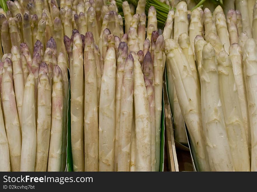 White Asparagus Background