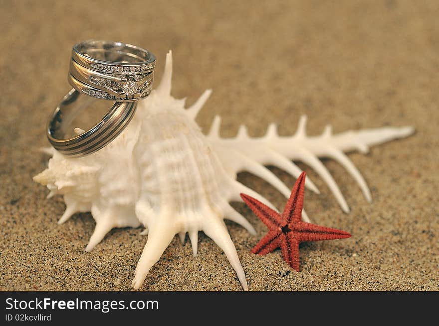 Wedding rings displayed hanging on a seashell with a red seastar