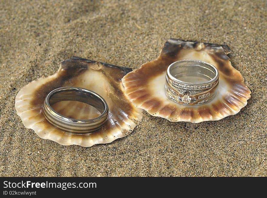 Wedding rings displayed in seashells