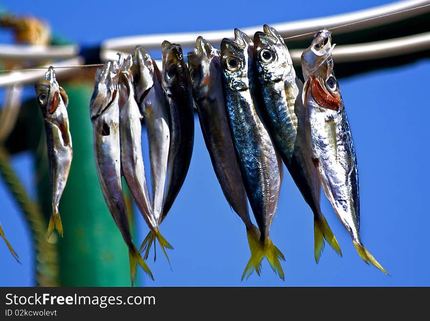 Dried fish on a rope. Dried fish on a rope