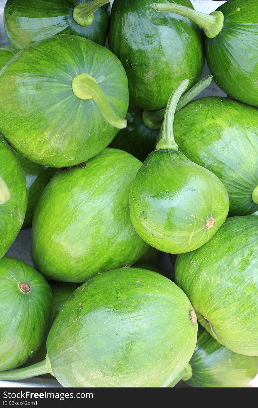 Just pick off the pumpkin ready to be listed. Fresh, green, rich in nutrition.