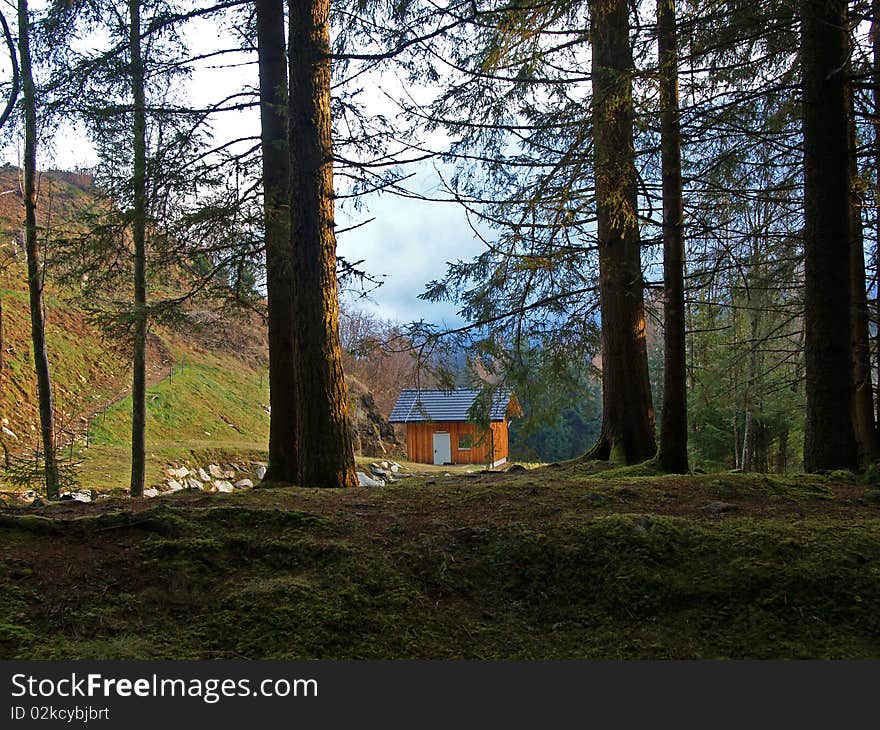 Forest with woodhouse in Styria, Austria. Forest with woodhouse in Styria, Austria