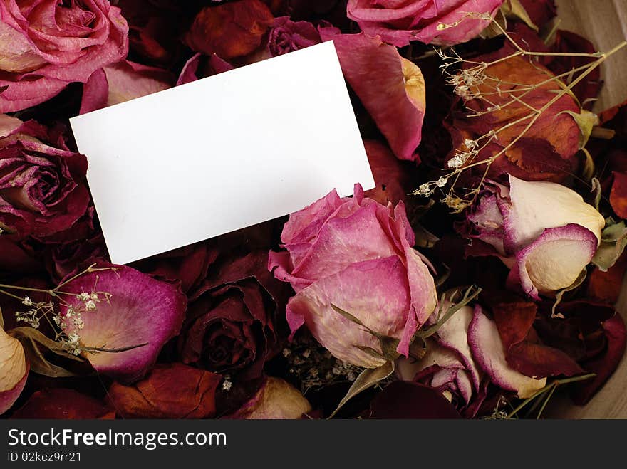 Empty card for your message on romantic dried roses background. Empty card for your message on romantic dried roses background