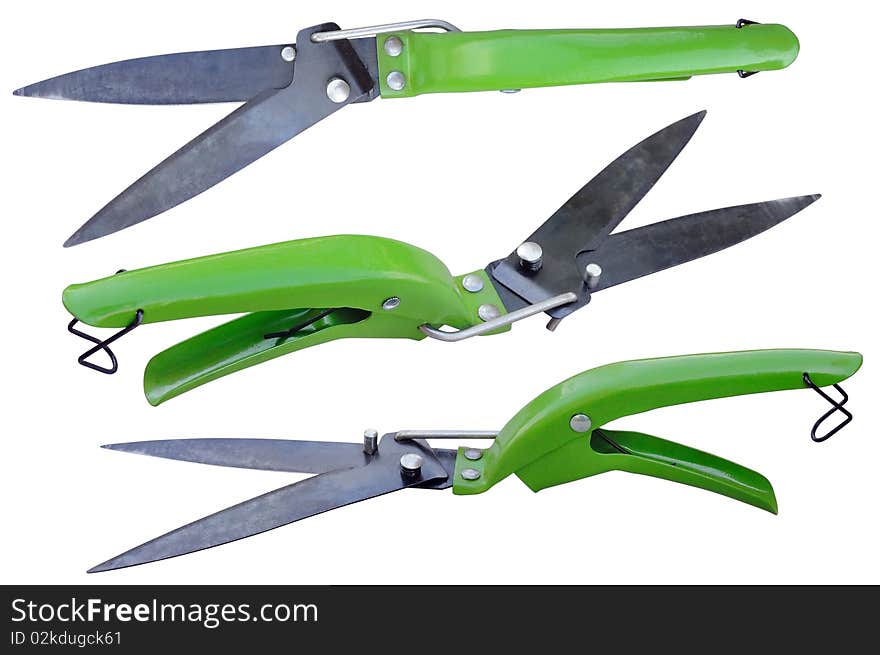 Tree green grass scissors on a white background. Tree green grass scissors on a white background