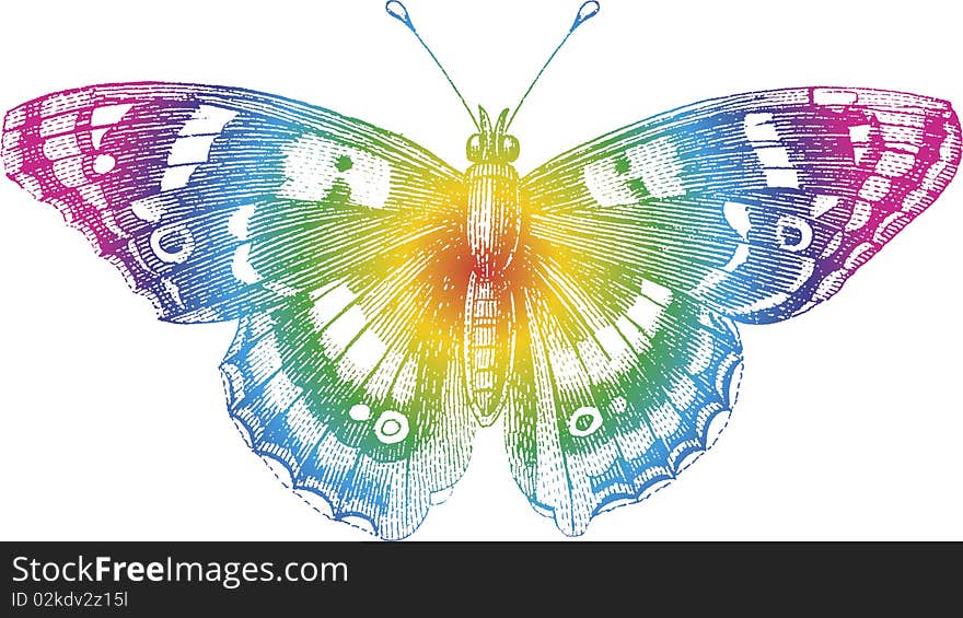 Drawing, based on Brockhaus Bilderatlas, 1849. Drawing, based on Brockhaus Bilderatlas, 1849