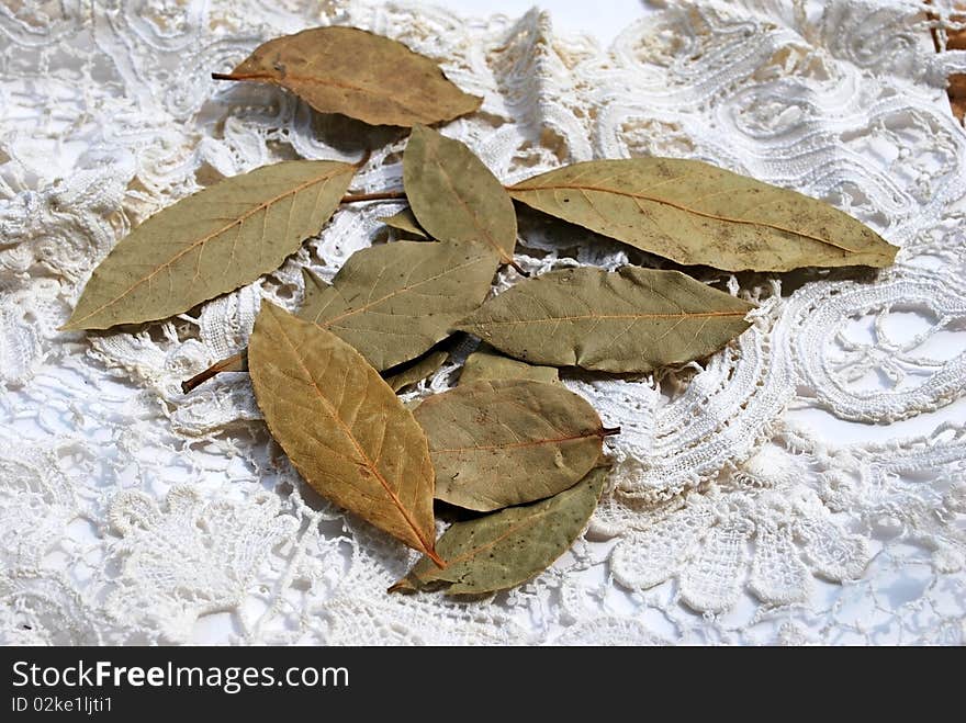 Dry bay leaf on handmade lace background