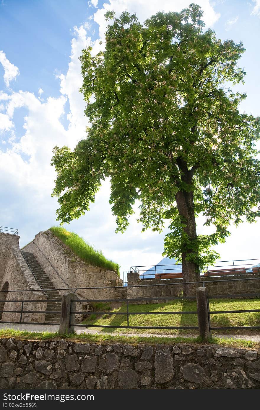 Nearly Spring in a Garden of the Fortress of Kufstein