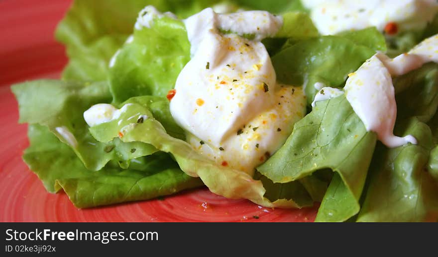 Salad with dressing 2