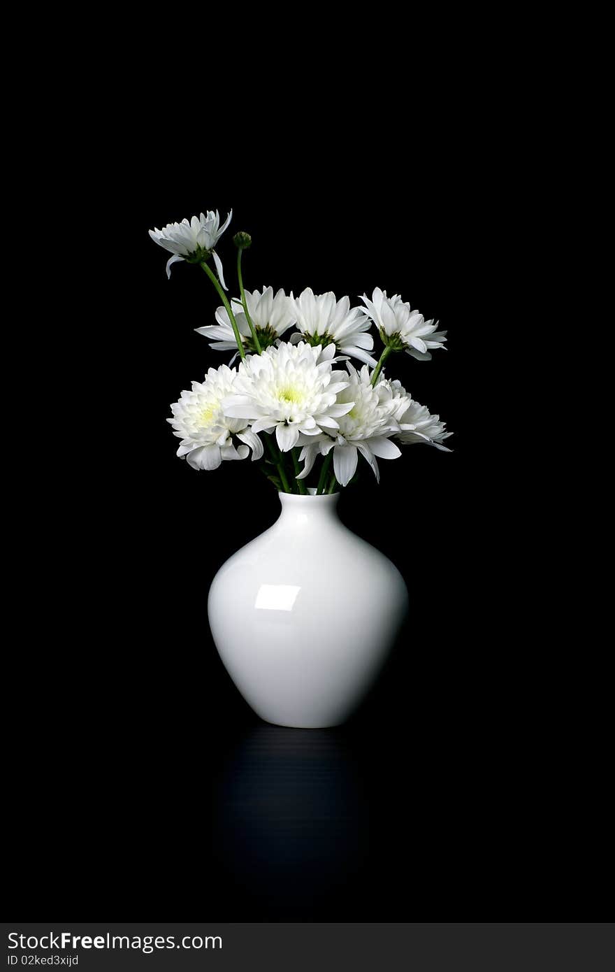 White flowers on white vase on black background. White flowers on white vase on black background