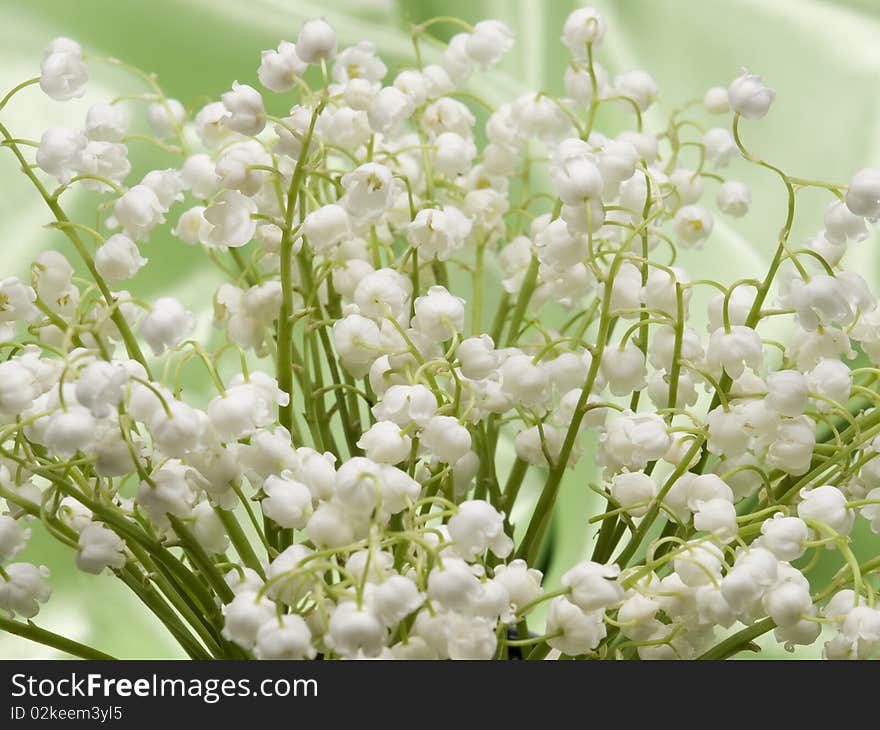 Lily of the valley on a background from green silk