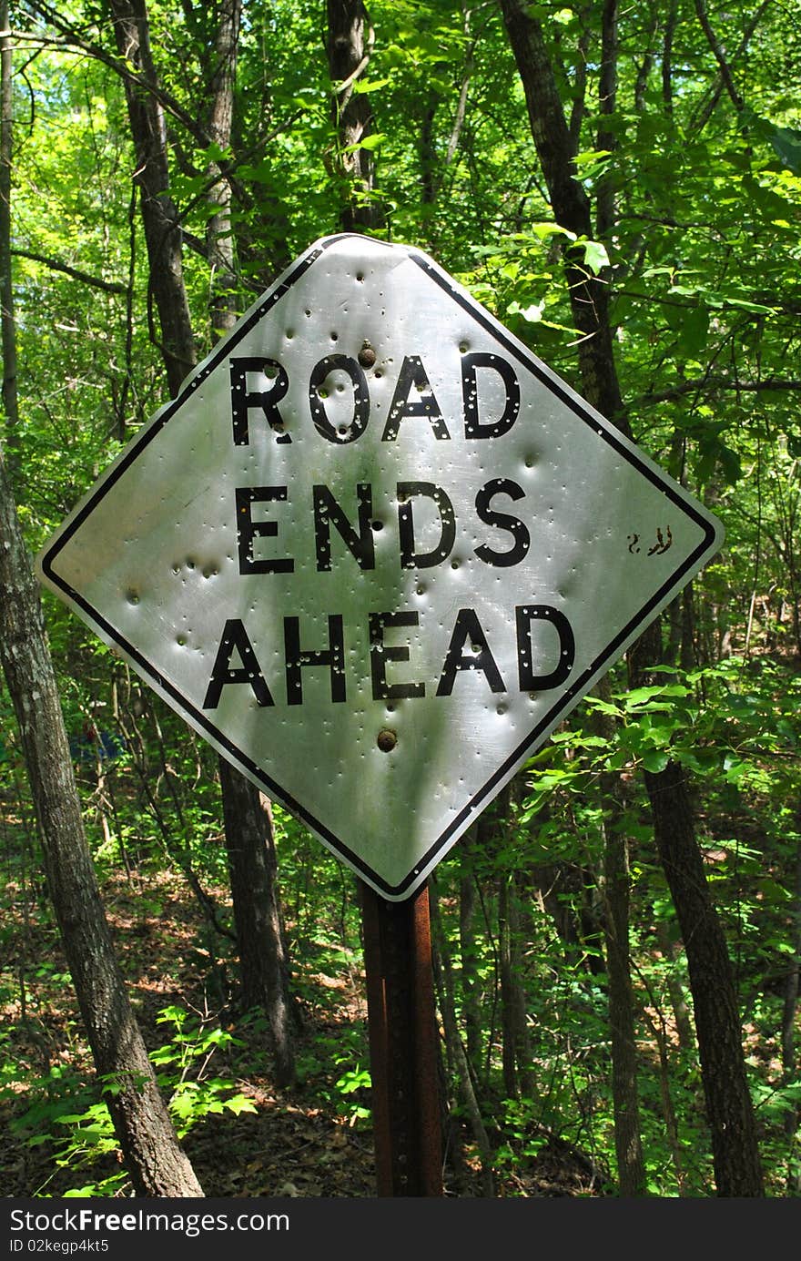 Shot up old sign in the middle of the forest where a road used to be.