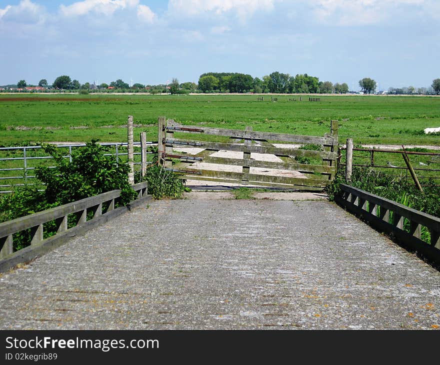 Meadow with an old wooden fence