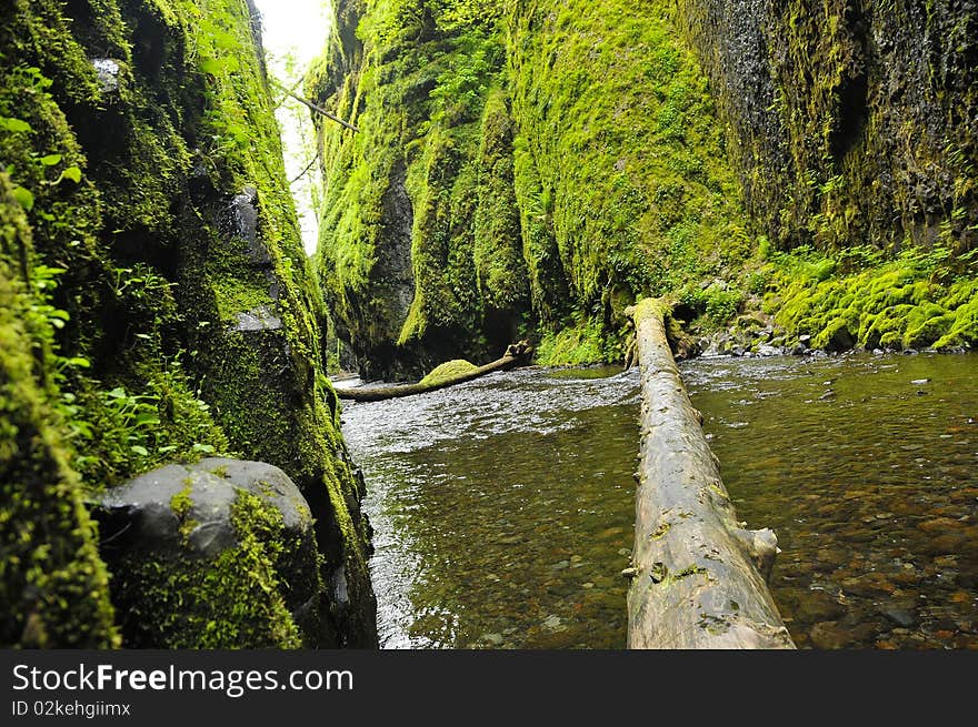 River in Oneonta Gorge