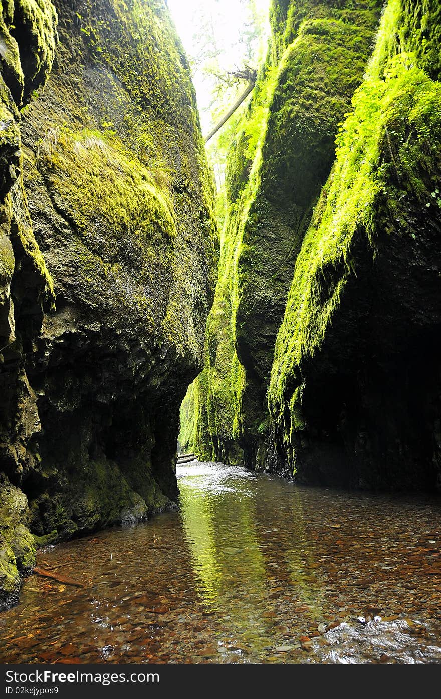 Oneonta River in Spring along the Columbia River Gorge on Oregon and Washington Border. Oneonta River in Spring along the Columbia River Gorge on Oregon and Washington Border