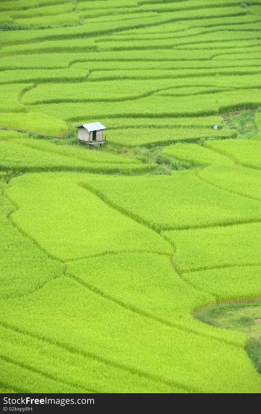 Coastal Country Farm