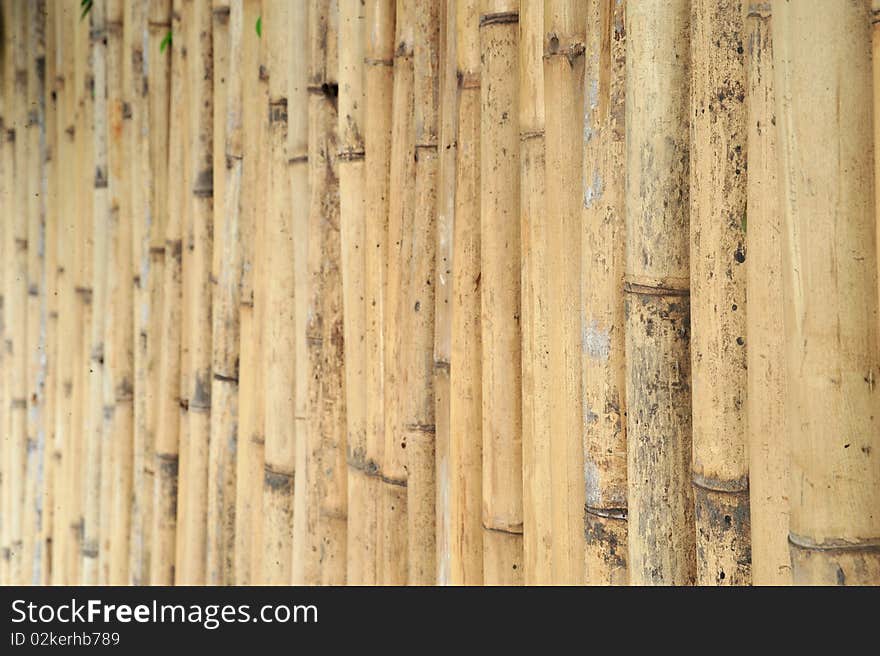 Fencing made from bamboo The villagers in the rural south of Thailand. Fencing made from bamboo The villagers in the rural south of Thailand