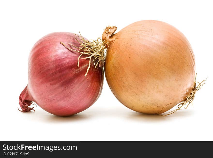 Variety of onions