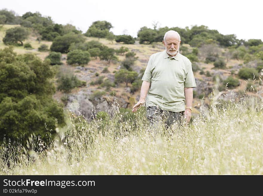 An Old Man With a Beard Walking in the Hills and Touching the Tall Grass. An Old Man With a Beard Walking in the Hills and Touching the Tall Grass