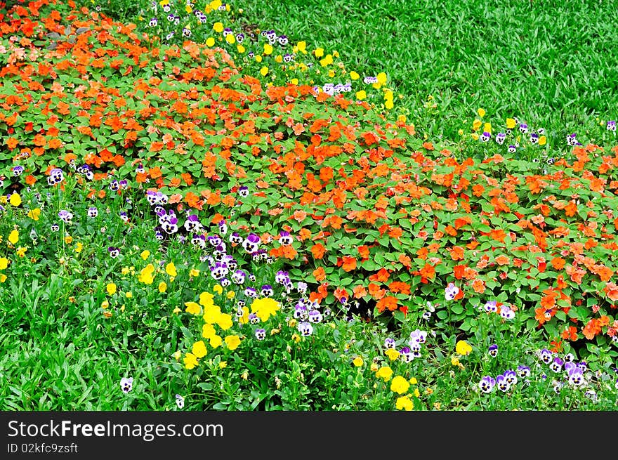 Flower cluster in red and white, yellow across green meadow. appears as strip shape, means colorful, prosperous and flourishing. Flower cluster in red and white, yellow across green meadow. appears as strip shape, means colorful, prosperous and flourishing.