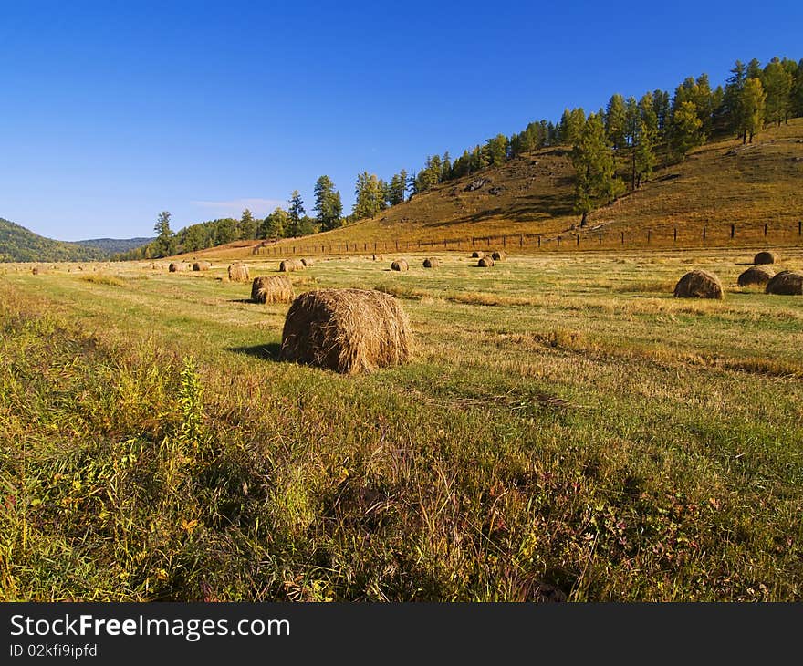 Haystacks